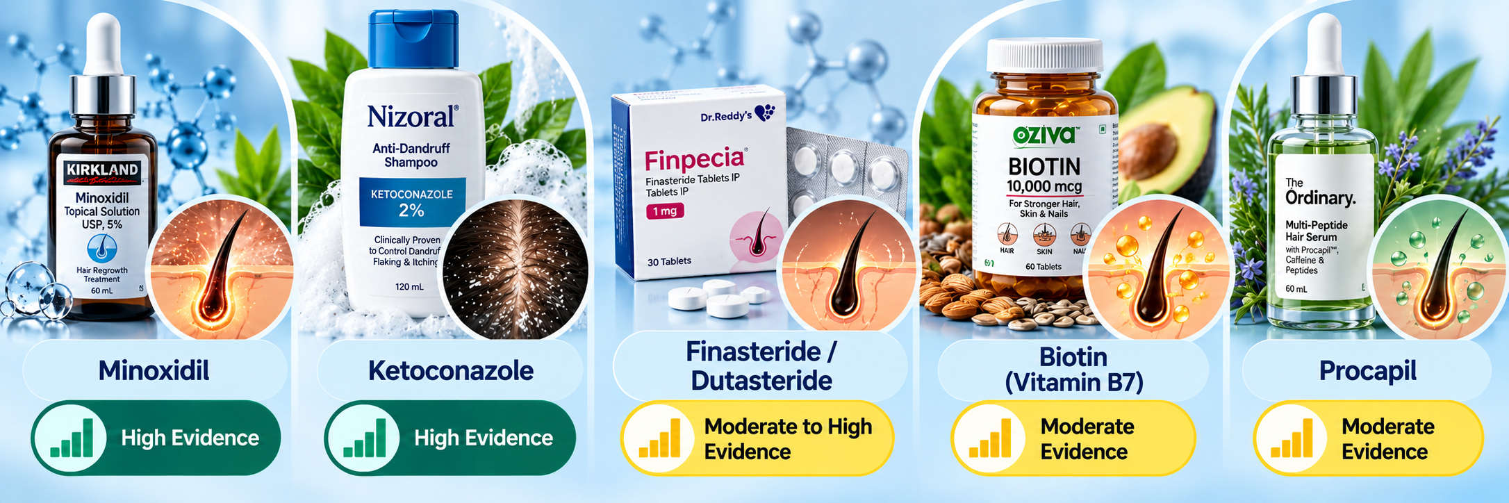 Hair fall ingredients by evidence level including Minoxidil, Ketoconazole, Biotin and Procapil