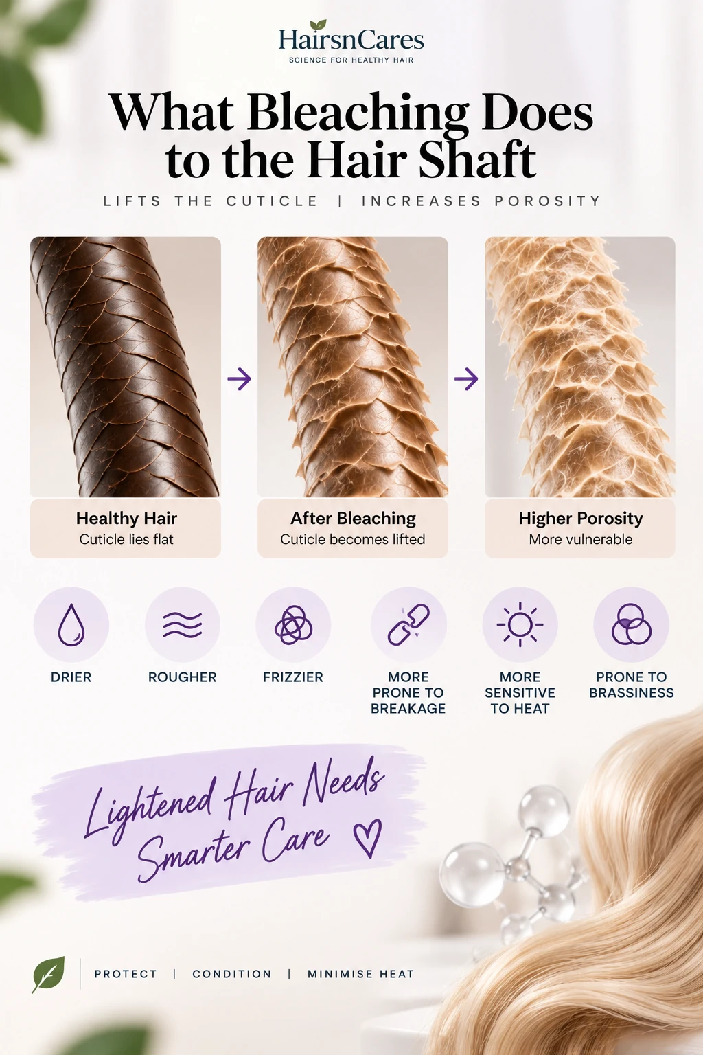 Diagram showing how bleaching lifts the hair cuticle and increases hair porosity dryness and breakage