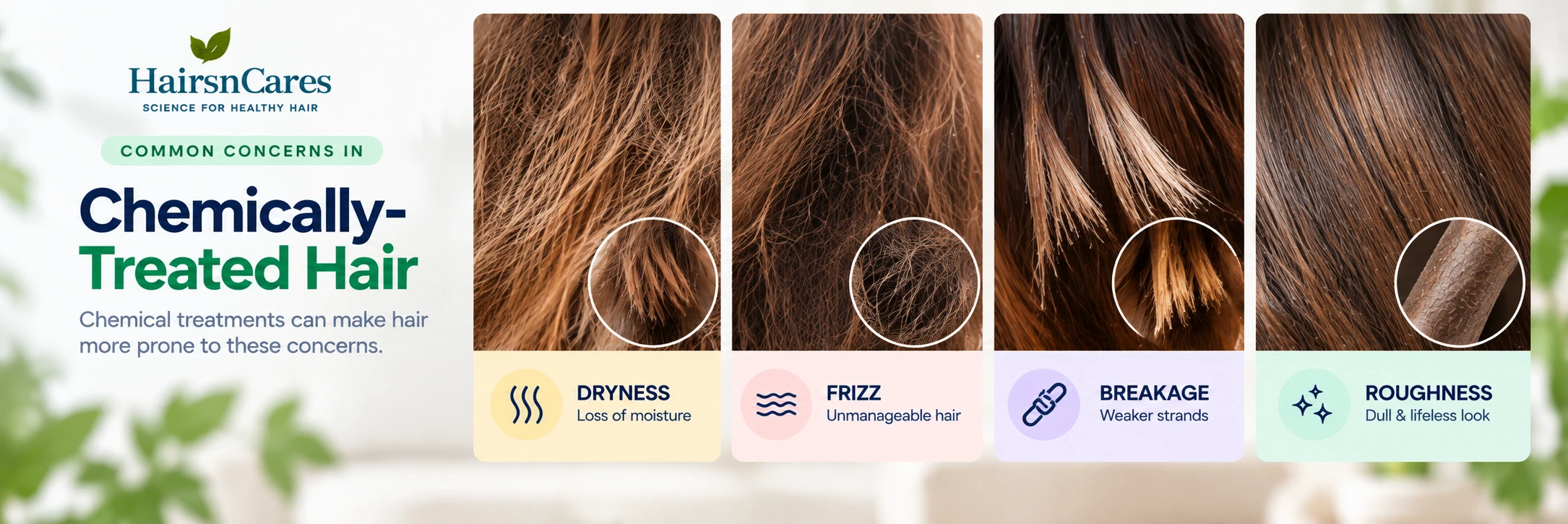 Common chemically treated hair concerns including dryness frizz breakage and roughness