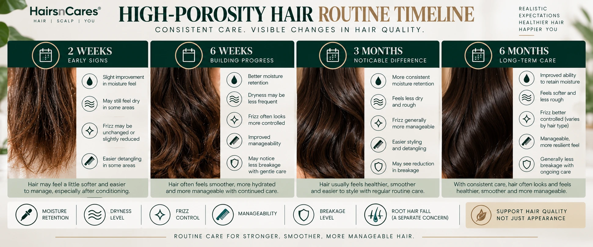 High porosity hair routine timeline with 2 week 6 week 3 month and 6 month checkpoints for moisture frizz manageability and breakage