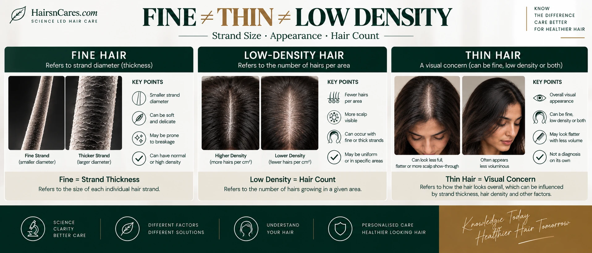 Fine hair versus thin hair versus low-density hair comparing strand diameter overall appearance and number of hairs per scalp area