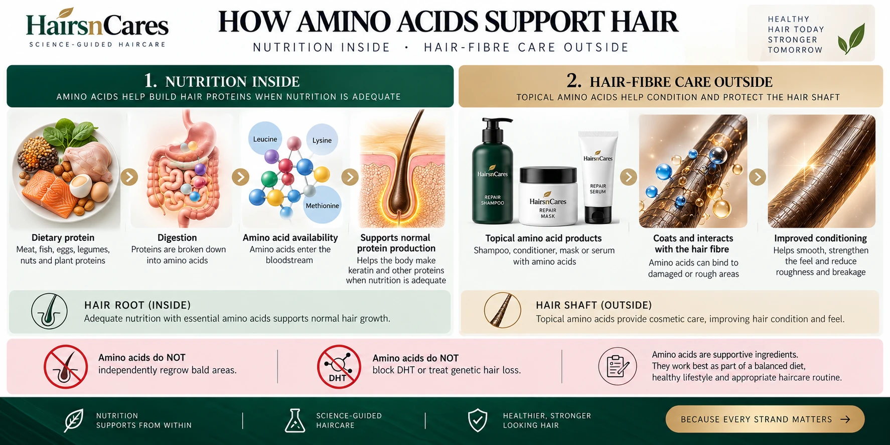 How amino acids work for hair through dietary protein and topical hair-fibre care, supporting normal protein production and conditioning damaged hair.