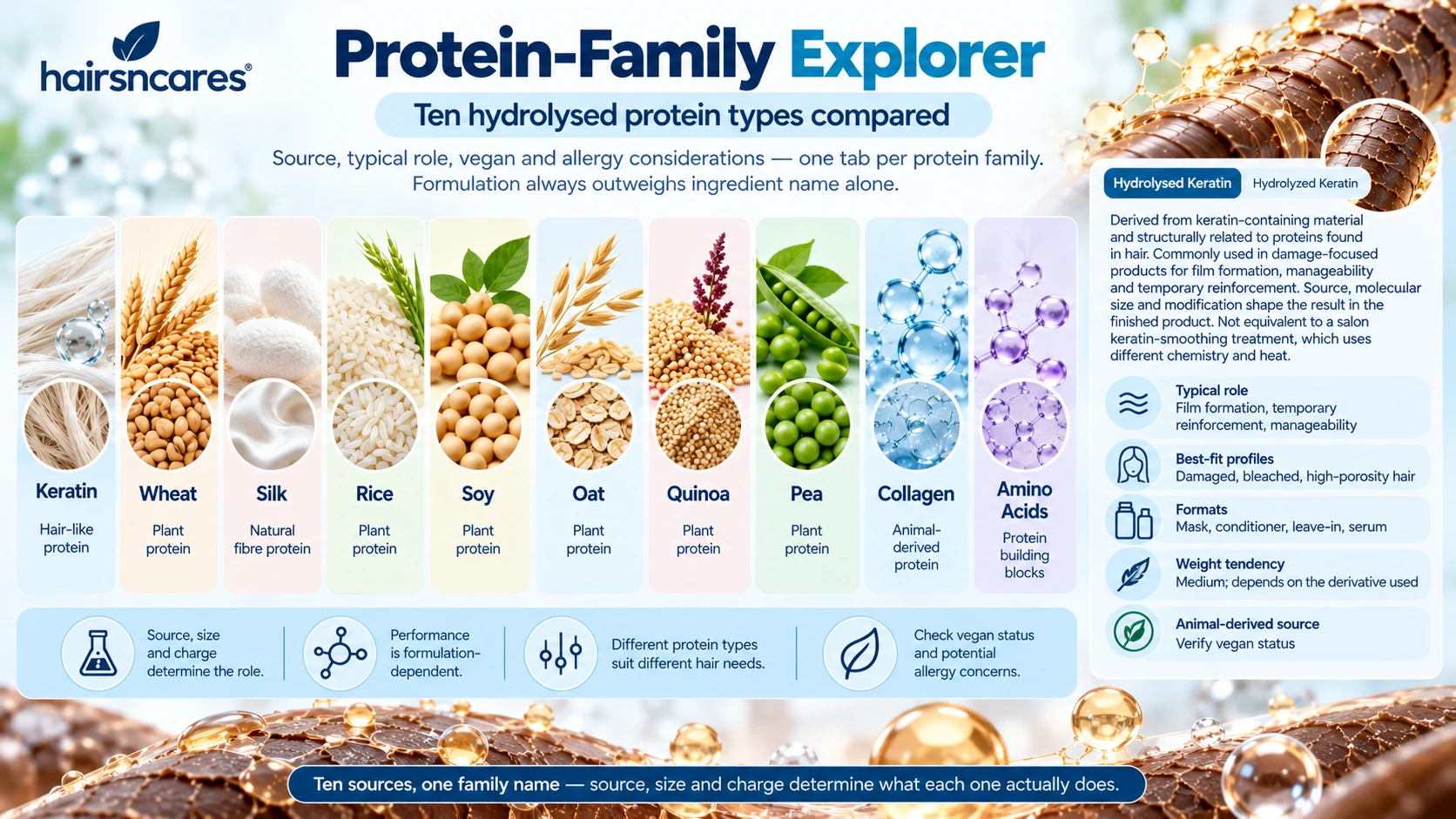 Hydrolysed Protein Types for Hair – Protein-Family Explorer Ten hydrolysed protein types for hair including keratin wheat silk rice soy oat quinoa pea collagen and amino acids compared by source and role