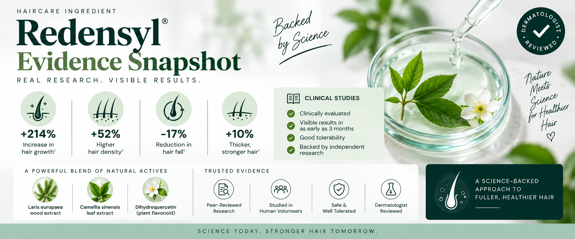 Evidence Snapshot — Redensyl Evidence level snapshot for Redensyl in haircare, showing research, clinical evaluation, and hair-support outcomes.