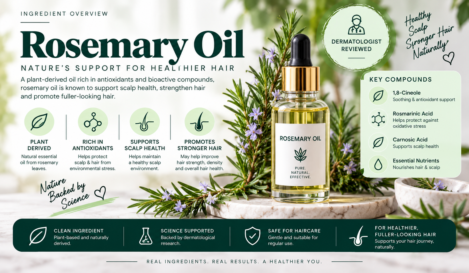 Rosemary Oil ingredient overview for haircare, dermatologist-reviewed.
