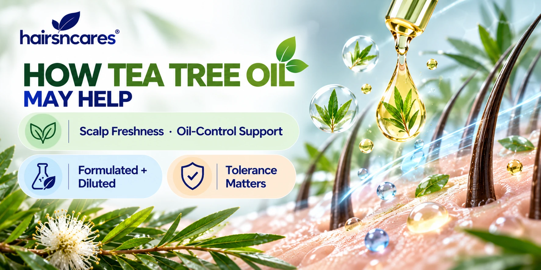 How Tea Tree Oil works — mechanism visual