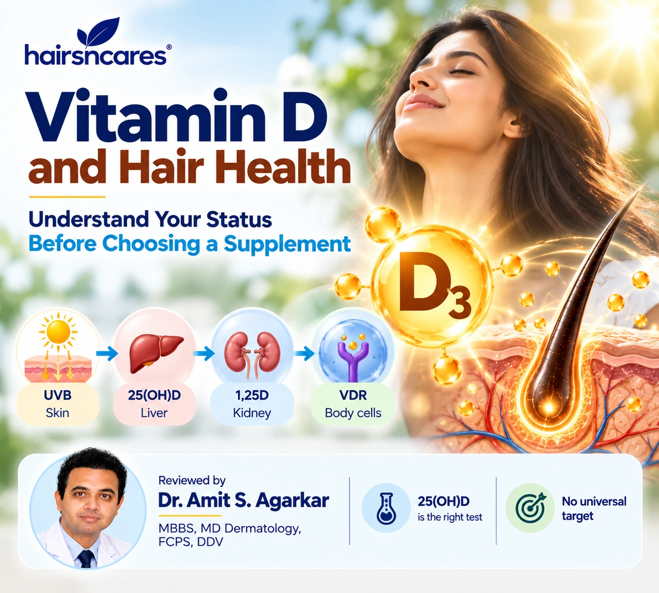 Vitamin D and Hair Health – Understand Your Status Before Supplementing Vitamin D and hair health guide showing 25-hydroxyvitamin D testing and the skin liver kidney Vitamin D pathway