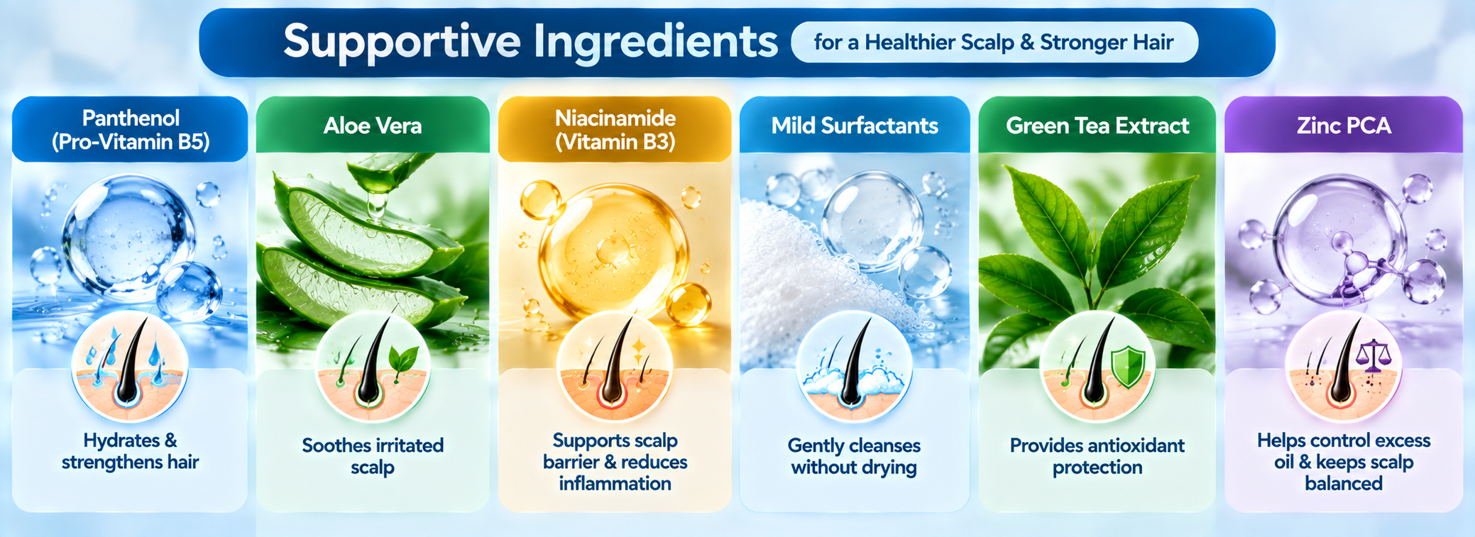 alt: "Supportive ingredients: panthenol, aloe, mild surfactants" · 900×260 WebP