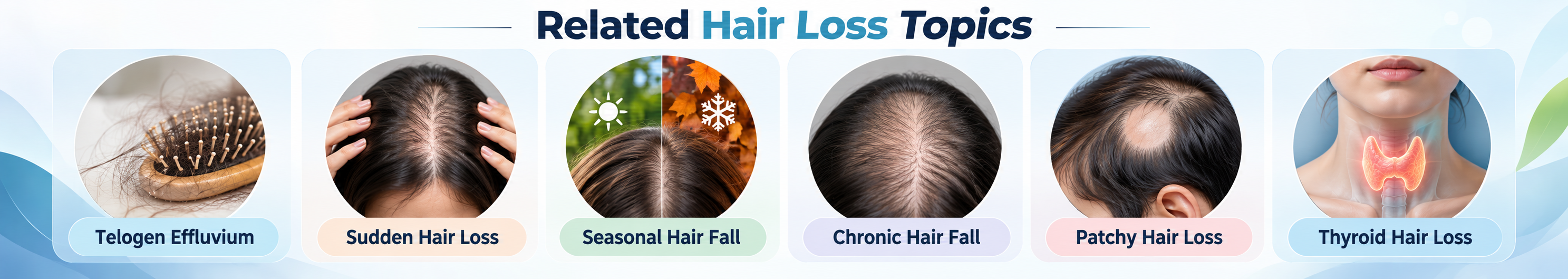Related hair loss topics including telogen effluvium, sudden hair loss, seasonal hair fall, chronic hair fall, patchy hair loss and thyroid hair loss