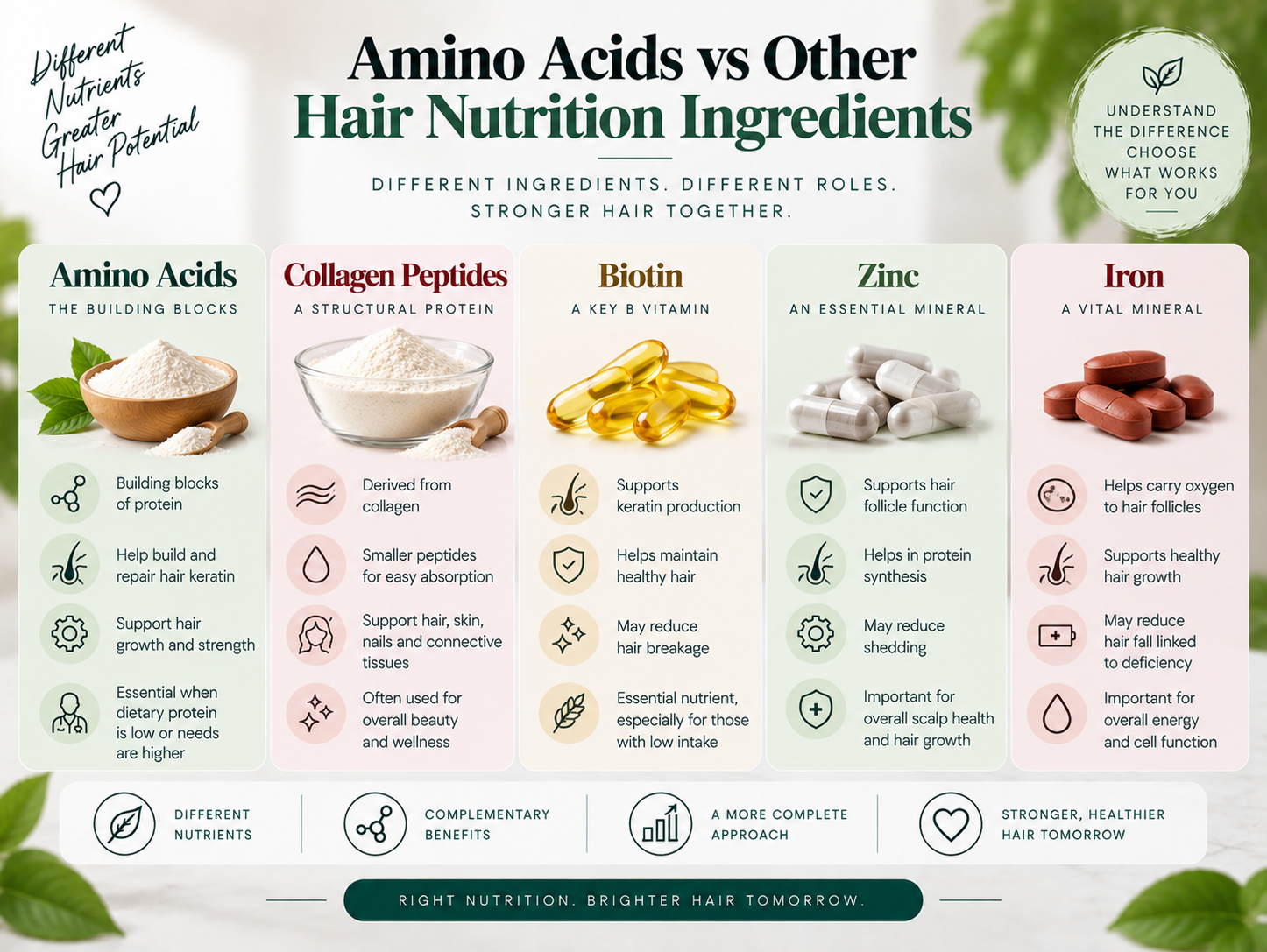 Amino Acids vs Other Hair Nutrition Ingredients Comparison of amino acids, collagen peptides, biotin, zinc, and iron for hair nutrition and support.